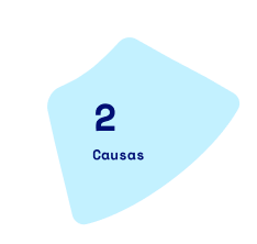 Etapa 2: Causas